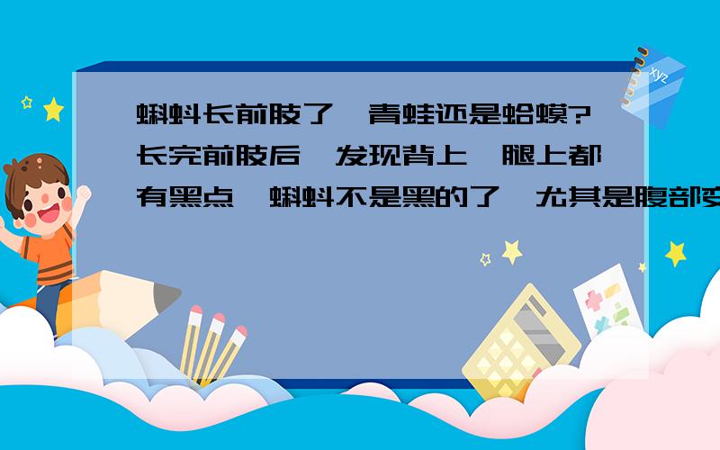 蝌蚪长前肢了,青蛙还是蛤蟆?长完前肢后,发现背上,腿上都有黑点,蝌蚪不是黑的了,尤其是腹部变成灰白色,没有点,背和腹部对比鲜明,是青蛙吗?