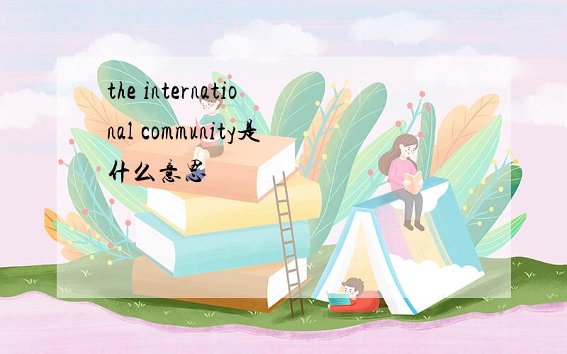 the international community是什么意思