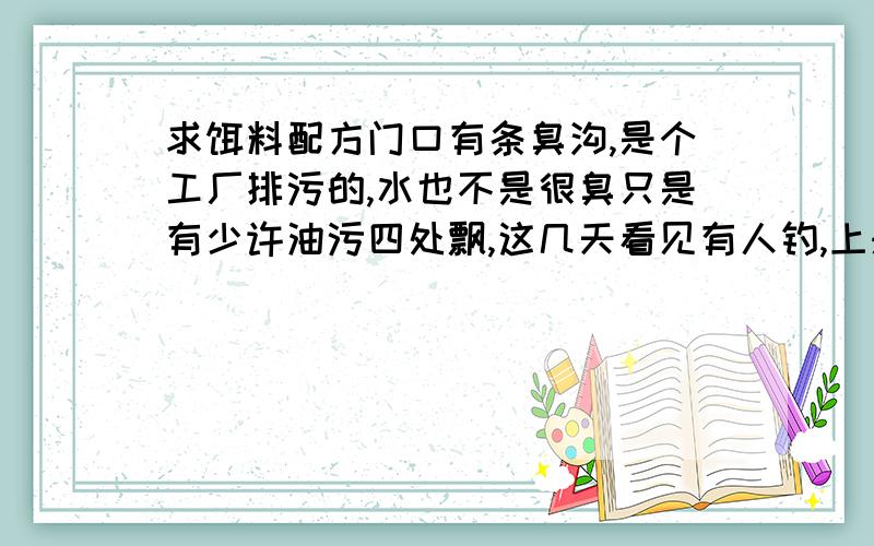 求饵料配方门口有条臭沟,是个工厂排污的,水也不是很臭只是有少许油污四处飘,这几天看见有人钓,上来的鲫鱼大的也有2两,晓得就小手指长,问,1-10度的天气,用什么饵料好钓,台钓方式.也就去