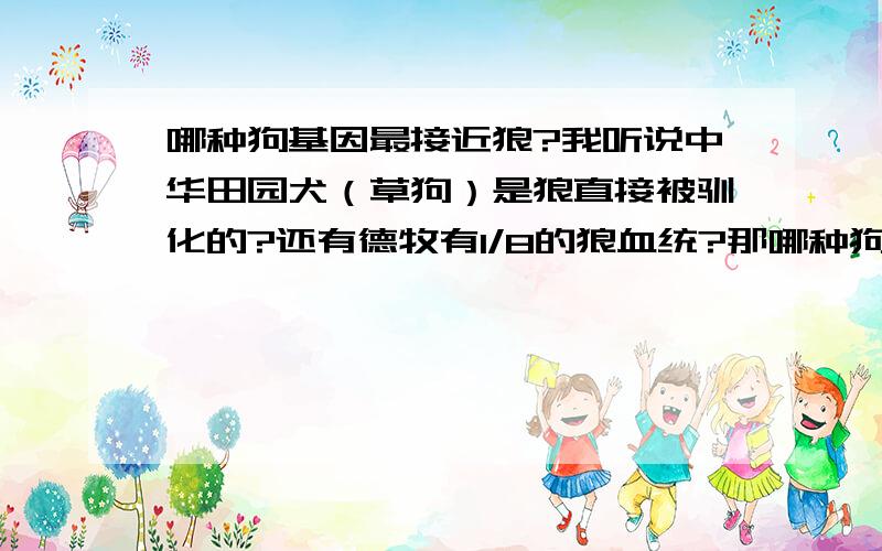 哪种狗基因最接近狼?我听说中华田园犬（草狗）是狼直接被驯化的?还有德牧有1/8的狼血统?那哪种狗最接近狼?还有哈士奇呢