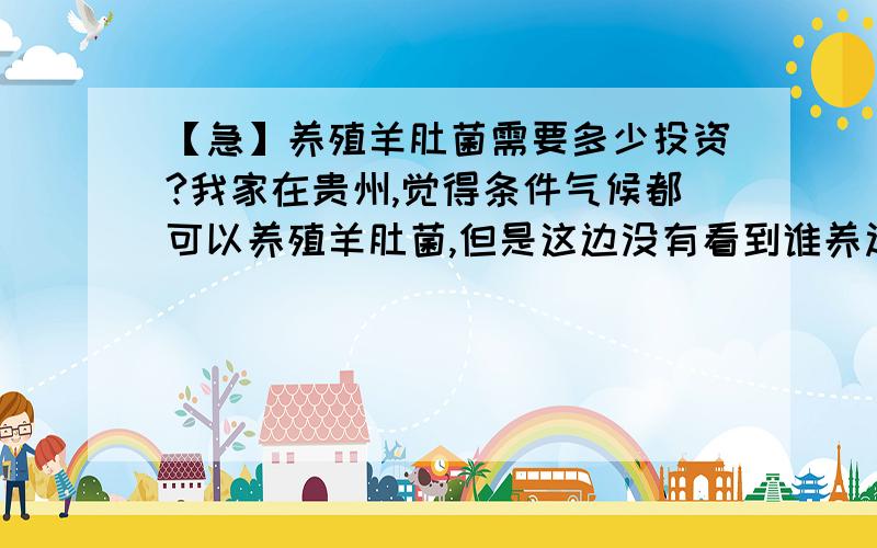 【急】养殖羊肚菌需要多少投资?我家在贵州,觉得条件气候都可以养殖羊肚菌,但是这边没有看到谁养过,没有办法进一步了解这些技术,还有前期需要多少投资.希望有这方面技术经验的朋友一