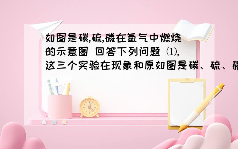 如图是碳,硫,磷在氧气中燃烧的示意图 回答下列问题 ⑴,这三个实验在现象和原如图是碳、硫、磷在氧气中燃烧的示意图回答下列问题 ⑴、这三个实验在现象和原理上有多个 相