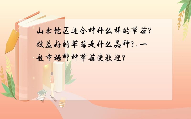 山东地区适合种什么样的草莓?效益好的草莓是什么品种?,一般市场那种草莓受欢迎?