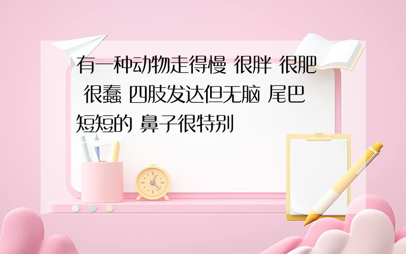 有一种动物走得慢 很胖 很肥 很蠢 四肢发达但无脑 尾巴短短的 鼻子很特别