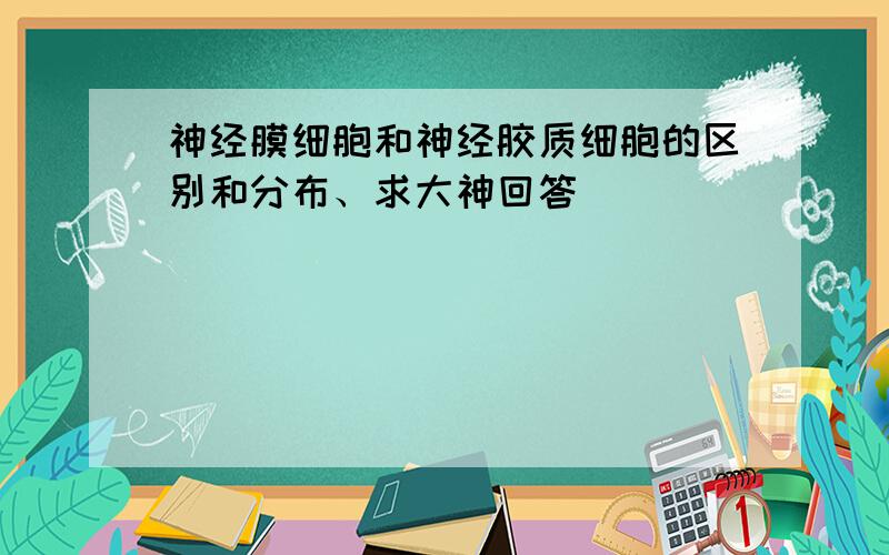 神经膜细胞和神经胶质细胞的区别和分布、求大神回答