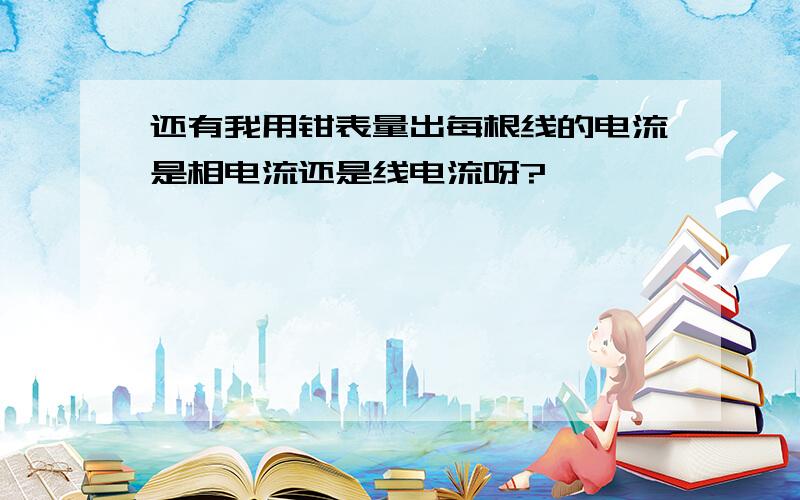 还有我用钳表量出每根线的电流是相电流还是线电流呀?