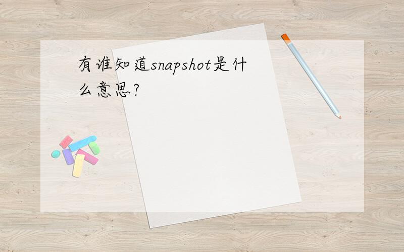 有谁知道snapshot是什么意思?