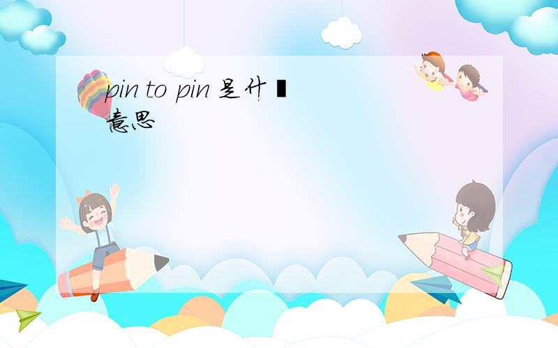 pin to pin 是什麽意思