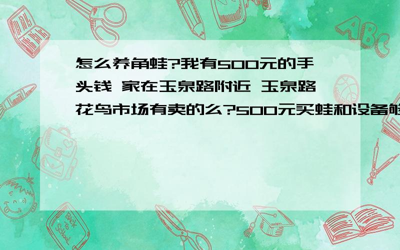 怎么养角蛙?我有500元的手头钱 家在玉泉路附近 玉泉路花鸟市场有卖的么?500元买蛙和设备够么?应该如何养?能不能喂河里抓的小杂鱼?