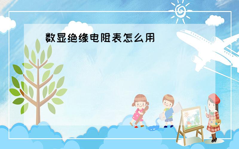 数显绝缘电阻表怎么用