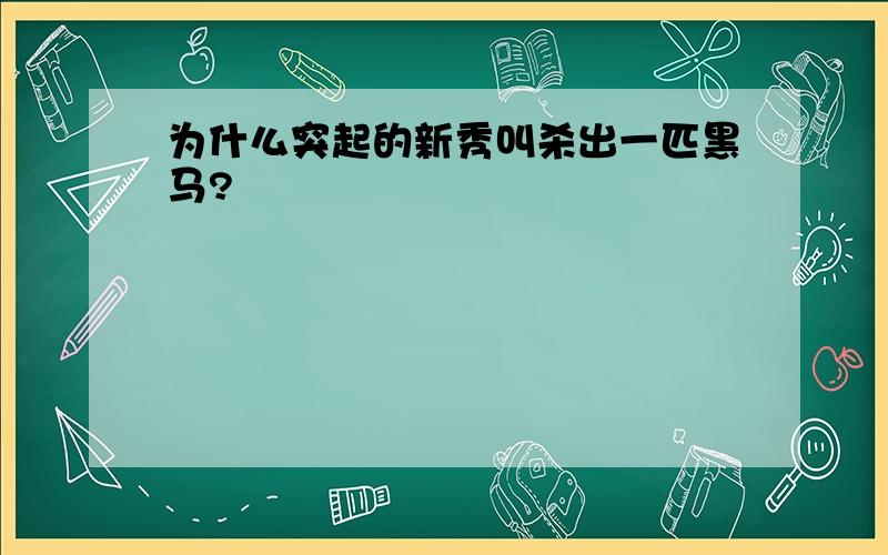 为什么突起的新秀叫杀出一匹黑马?