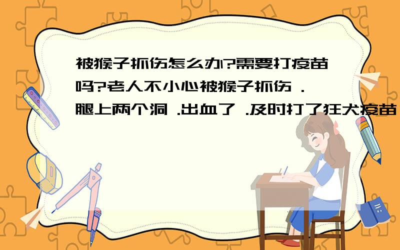 被猴子抓伤怎么办?需要打疫苗吗?老人不小心被猴子抓伤 .腿上两个洞 .出血了 .及时打了狂犬疫苗 .第二天可以注射破伤风针吗?.