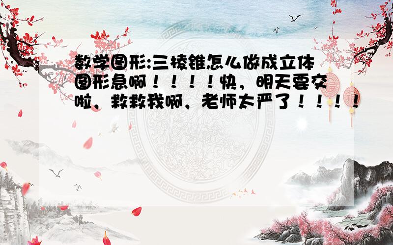 数学图形:三棱锥怎么做成立体图形急啊！！！！快，明天要交啦，救救我啊，老师太严了！！！！