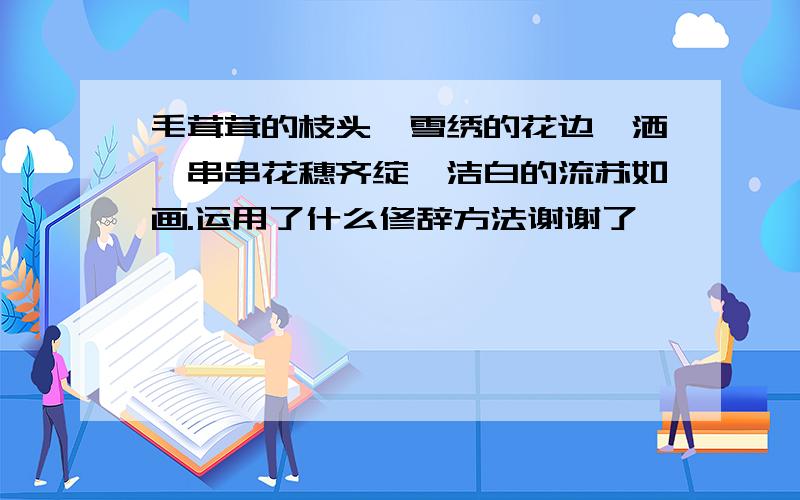 毛茸茸的枝头,雪绣的花边潇洒,串串花穗齐绽,洁白的流苏如画.运用了什么修辞方法谢谢了,