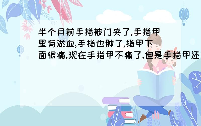 半个月前手指被门夹了,手指甲里有淤血,手指也肿了,指甲下面很痛.现在手指甲不痛了,但是手指甲还很黑、没有脱落,碰不得.怎么样新的指甲才能尽快长回来?