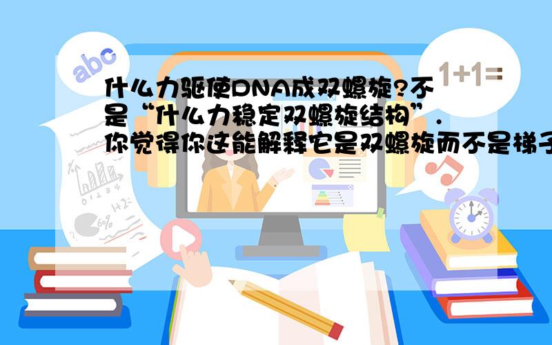 什么力驱使DNA成双螺旋?不是“什么力稳定双螺旋结构”.你觉得你这能解释它是双螺旋而不是梯子形吗？