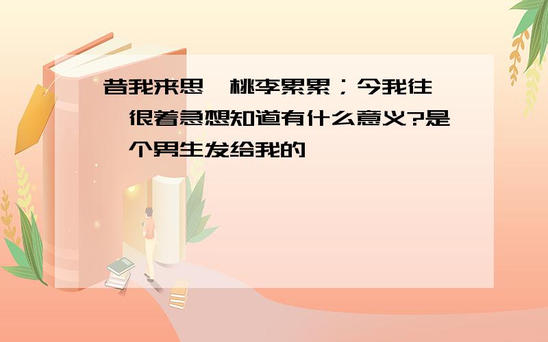 昔我来思,桃李累累；今我往矣,很着急想知道有什么意义?是一个男生发给我的````