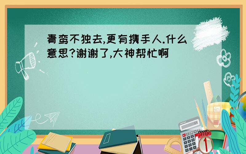 青鸾不独去,更有携手人.什么意思?谢谢了,大神帮忙啊