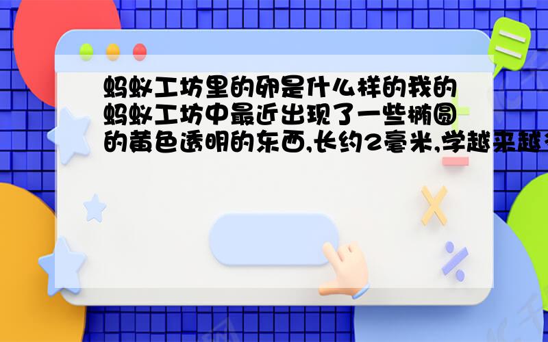 蚂蚁工坊里的卵是什么样的我的蚂蚁工坊中最近出现了一些椭圆的黄色透明的东西,长约2毫米,学越来越多,已有20颗左右,里面有一个橘黄色的点.工坊晃动时,工蚁叼起它们逃.蚁后没有脱翅,这