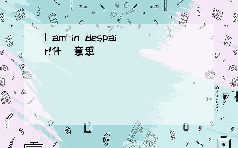 I am in despair!什麼意思