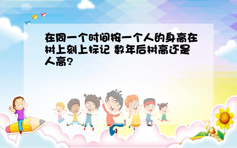 在同一个时间按一个人的身高在树上刻上标记 数年后树高还是人高?