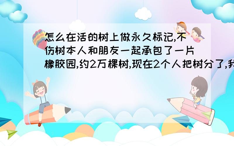 怎么在活的树上做永久标记,不伤树本人和朋友一起承包了一片橡胶园,约2万棵树,现在2个人把树分了,我想给自己的树做个永久标签,用铝片做个小牌子,就是不知道怎么固定到树上,用钉子伤树,