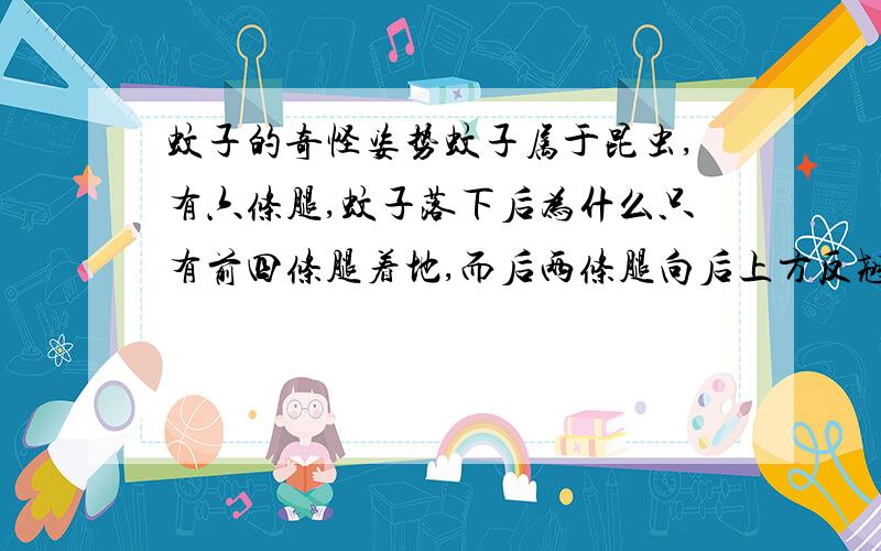 蚊子的奇怪姿势蚊子属于昆虫,有六条腿,蚊子落下后为什么只有前四条腿着地,而后两条腿向后上方反翘,姿势很特别,这是为什么呢?