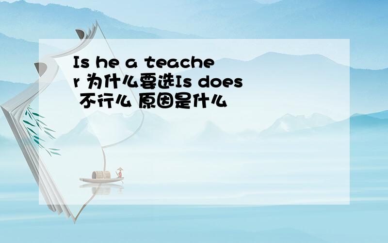 Is he a teacher 为什么要选Is does 不行么 原因是什么