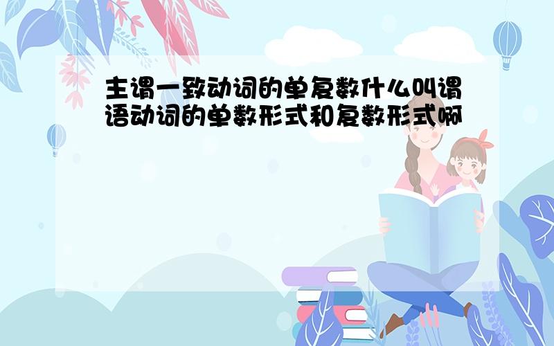 主谓一致动词的单复数什么叫谓语动词的单数形式和复数形式啊