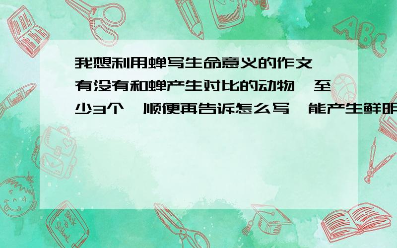 我想利用蝉写生命意义的作文,有没有和蝉产生对比的动物,至少3个,顺便再告诉怎么写,能产生鲜明对比我想写的是蝉的伟大OK