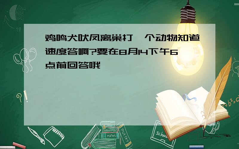 鸡鸣犬吠凤离巢打一个动物知道速度答啊?要在8月14下午6点前回答哦