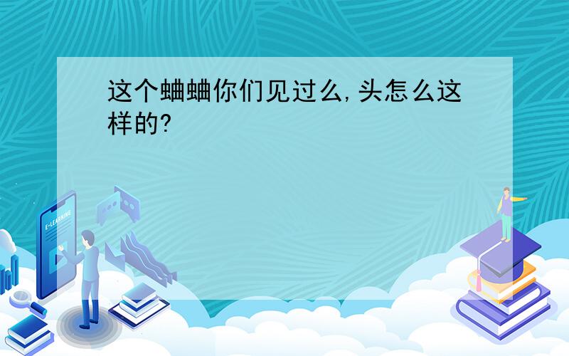 这个蛐蛐你们见过么,头怎么这样的?