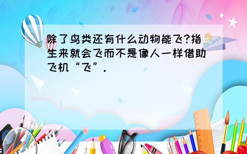 除了鸟类还有什么动物能飞?指生来就会飞而不是像人一样借助飞机“飞”.