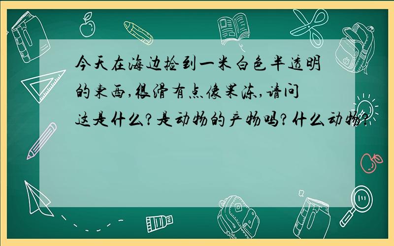 今天在海边捡到一米白色半透明的东西,很滑有点像果冻,请问这是什么?是动物的产物吗?什么动物?