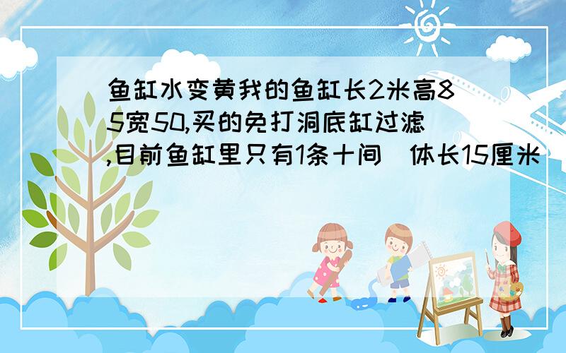 鱼缸水变黄我的鱼缸长2米高85宽50,买的免打洞底缸过滤,目前鱼缸里只有1条十间（体长15厘米）,12条体长7厘米的鹦鹉,4天前刚刚翻缸为什么水又黄了啊,原来翻缸的原因就是水黄了,今天刚刚洗