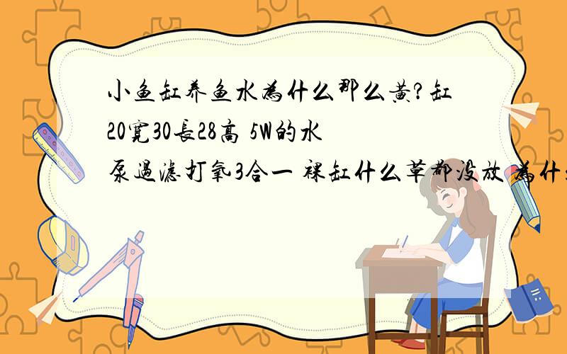 小鱼缸养鱼水为什么那么黄?缸20宽30长28高 5W的水泵过滤打氧3合一 裸缸什么草都没放 为什么水很黄 达不到观赏作用啊?