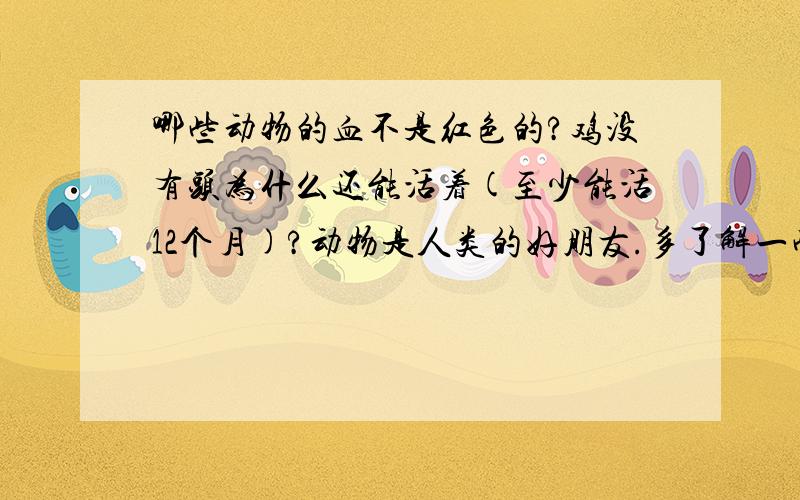 哪些动物的血不是红色的?鸡没有头为什么还能活着(至少能活12个月)?动物是人类的好朋友.多了解一些有关动物的知识对我们利用动物来为人类作贡献有很大的帮助