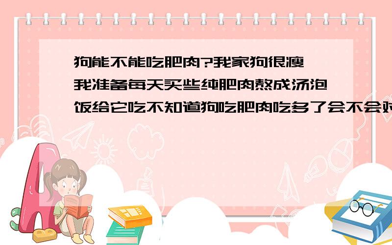 狗能不能吃肥肉?我家狗很瘦,我准备每天买些纯肥肉熬成汤泡饭给它吃不知道狗吃肥肉吃多了会不会对它的肠胃有影响?当然,还有其它的些东西给它吃的,比如我们吃剩的菜啊,还加了鸡蛋什么