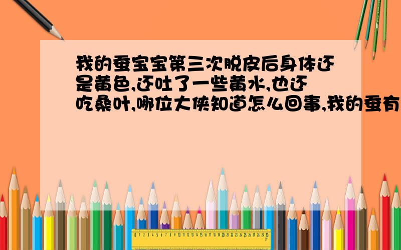 我的蚕宝宝第三次脱皮后身体还是黄色,还吐了一些黄水,也还吃桑叶,哪位大侠知道怎么回事,我的蚕有大有小,大的（比小指拇小一点）皮肤变黄了,小的皮肤还是白的,如果是桑也有问题,小蚕