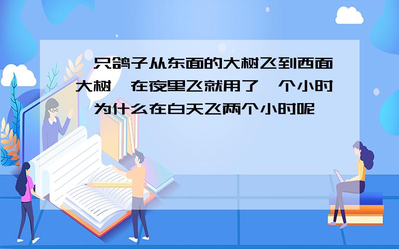 一只鸽子从东面的大树飞到西面大树,在夜里飞就用了一个小时,为什么在白天飞两个小时呢