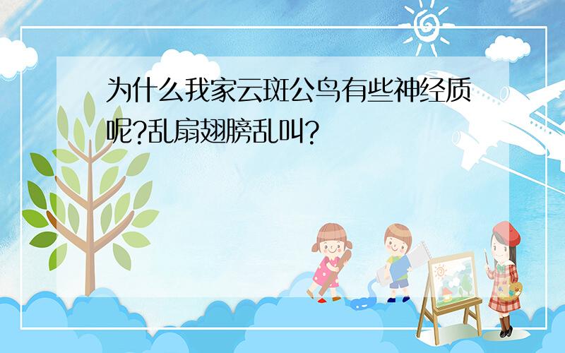 为什么我家云斑公鸟有些神经质呢?乱扇翅膀乱叫?