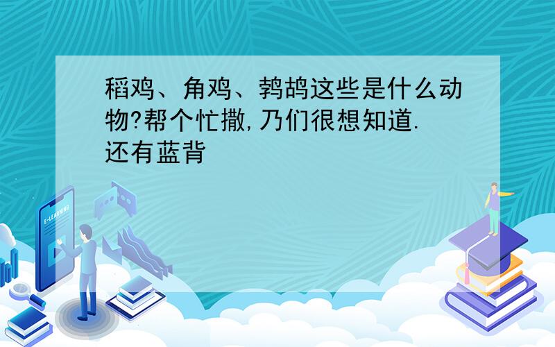 稻鸡、角鸡、鹁鸪这些是什么动物?帮个忙撒,乃们很想知道.还有蓝背