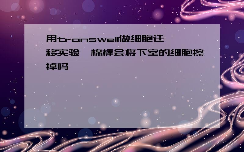 用transwell做细胞迁移实验,棉棒会将下室的细胞擦掉吗