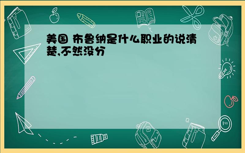 美国 布鲁纳是什么职业的说清楚,不然没分