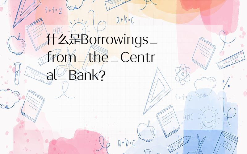 什么是Borrowings_from_the_Central_Bank?