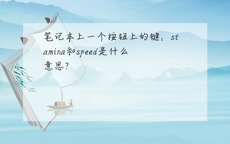 笔记本上一个按钮上的键：stamina和speed是什么意思?