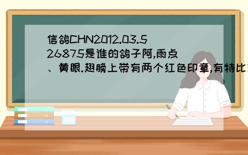 信鸽CHN2012.03.526875是谁的鸽子阿,雨点、黄眼.翅膀上带有两个红色印章,有特比环一枚,电子扫描环...信鸽CHN2012.03.526875是谁的鸽子阿,雨点、黄眼.翅膀上带有两个红色印章,有特比环一枚,电子扫