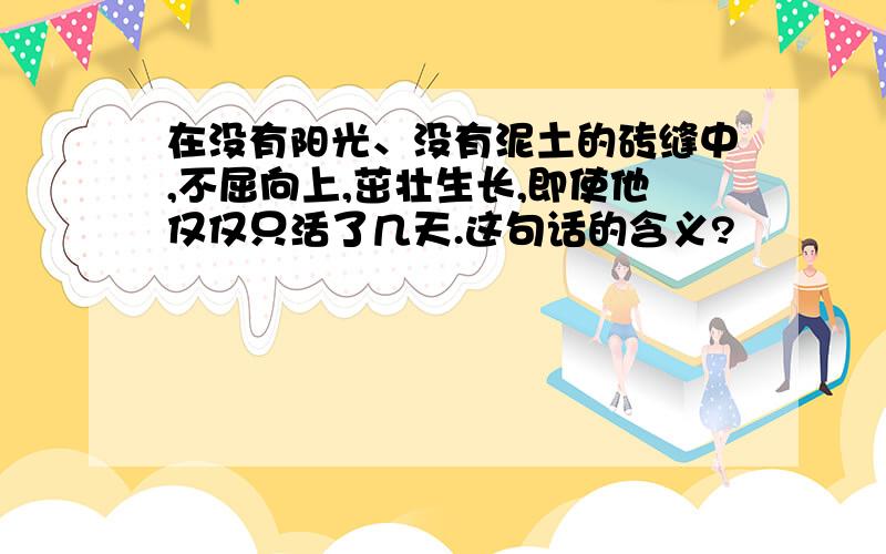 在没有阳光、没有泥土的砖缝中,不屈向上,茁壮生长,即使他仅仅只活了几天.这句话的含义?