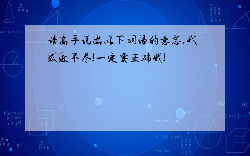 请高手说出以下词语的意思,我感激不尽!一定要正确哦!