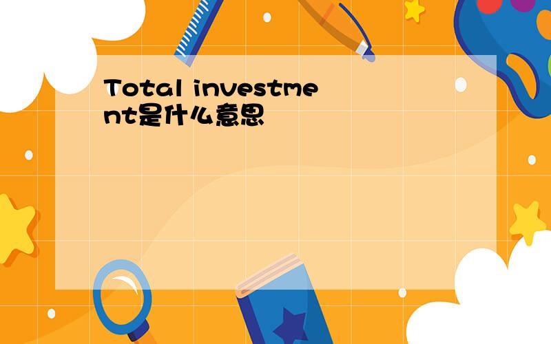 Total investment是什么意思